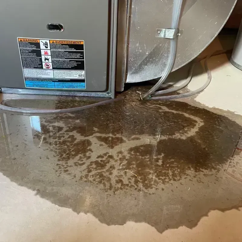 Appliance Leak Cleanup in Upland, PA